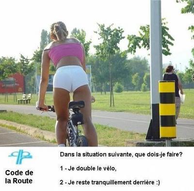 ahaahah kel kestion.